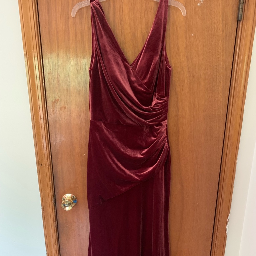 Romantic Rose Velvet Reverly dress
